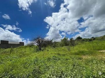 ecb72cf6da2292f69dada230b0960ea724af3c0f · Terreno à venda, 528 m² por R$ 110.000,00 - Centro - Catolé do Rocha/PB