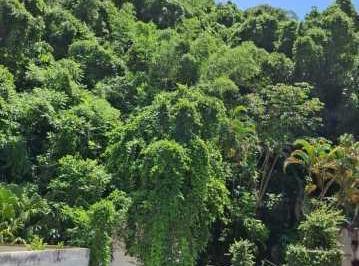 Apartamento · 90m² · 2 Quartos · 1 Vaga · Apartamento : Padrão / Residencial / Botafogo