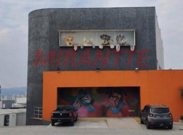 5db8fda80814d875ed13d15c057c91b3.jpg · Comercial de 700m²