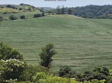Foto 01 · Sítio - Santa Bárbara D'Oeste