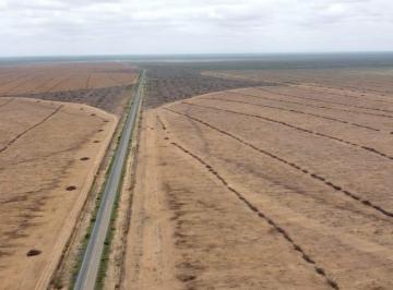 Rural , Itaguaçu da Bahia · Vendo 630 hectares no maior projeto de irrigação da América Latina.