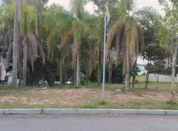 Foto 1 · Tamboré 01