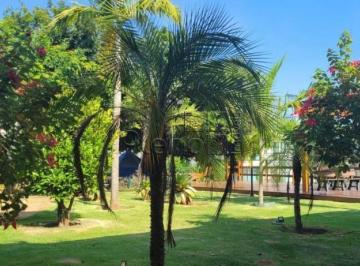 imagem · Terreno à venda em Campinas, Swiss Park, com 360 m²