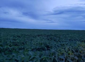 Imagem 1 · Fazenda