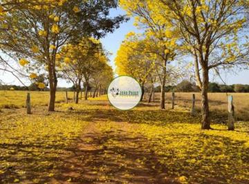 Rural , Porangatu · Fazenda a venda em Porangatu-GO - 493 Hectares - Aptidão agrícola