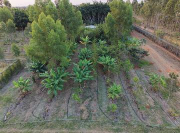 Rural Venda de 3 quartos · Lago Oeste - R. 16 Casa 3 quartos, diversas frutas agrofloresta bem cercada