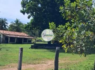 Rural , Crixás · Fazenda a venda em Crixás-GO - 838 Hectares - Área toda formada