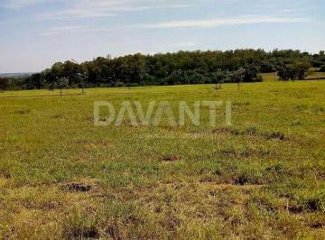 0 · terreno à venda em Residencial Haras Patente