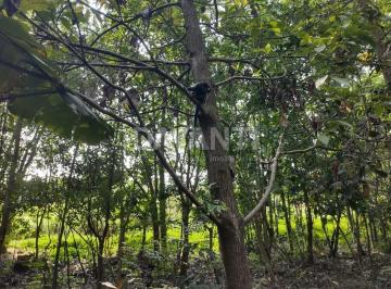 0 · Terreno à venda em Valinhos no Quinta do Pradinho