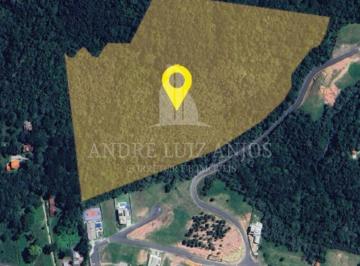Terreno , Almirante Tamandaré · ÁREA DE 60MIL M² EM ALMIRANTE TAMANDARÉ
