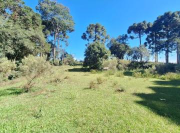 202604092007431562.jpg · Terreno para Venda em São José dos Pinhais, Zacarias