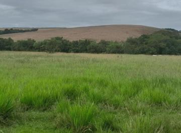 91e497387e6804c8d2e384c4e9fd9934.jpg · Fazenda / Sítios / Chácaras à venda em São Vicente De Minas, no bairro Zona Rural