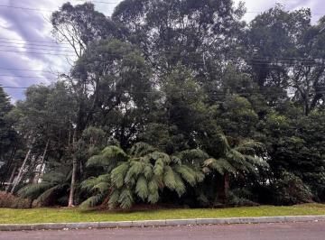 9260_is5Kxx3U25_926068a0b01687262.jpg · Imoveis - em Gramado