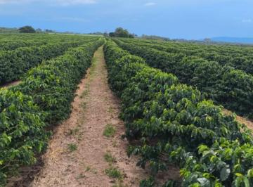 611a9645408e83f5324c8a0ba7d952ff.jpg · Fazenda / Sítios / Chácaras à venda em Monte Santo De Minas, no bairro Zona Rural