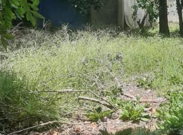 202603251136119559.jpg · Terreno Residencial para Venda em Caraguatatuba, martim de sa