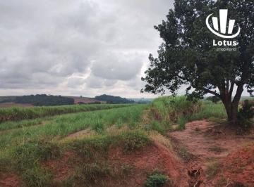 0c68e1c0ddf0961dd3caad0d7d43357778bc3c47 · Fazenda à venda, 138,00hectares por R$ 23.400.000 - Área Rural de Limeira - Limeira/SP