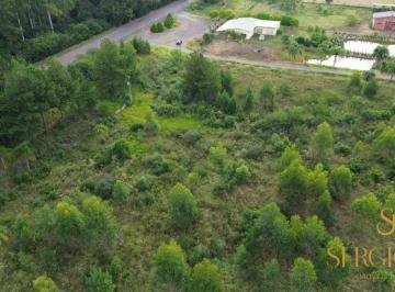 Rural , Montenegro · SÍTIO 3,0 HECTARES 200 MT DE FRENTE PARA RS 124 A 2 KM DE MONTENEGRO