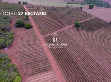 i1.jpg · FAZENDA PRODUTIVA À VENDA de 27,0 HÁS NO SUL DE MINAS