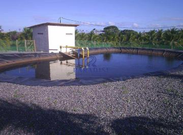 Imagem 1 · Fazenda
