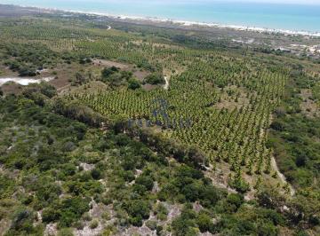 Imagem 1 · Fazenda