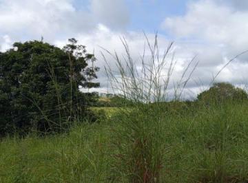 Imagem 1 · Fazenda