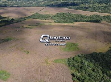 Rural · 800000m² · Fazenda 80ha Pinheiro Machado lavoura consolidada