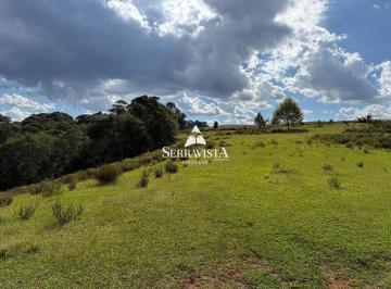 25156280_4.jpg · Chácara com araucárias em Campo Alegre -20.000 m2