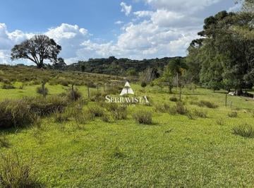 25156288_4.jpg · Chácara com araucárias em Campo Alegre -20.000 m2
