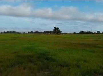 Imagem 1 · Fazenda