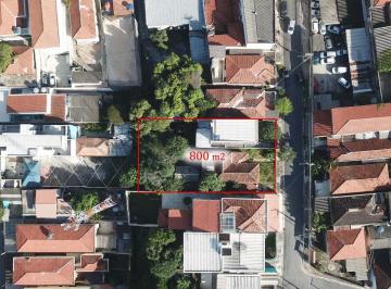 IMG_20260609_185141_000.jpeg · Funcional terreno residencial para venda em Vila Mazzei, 800m² - marryoliveira#PGIK4
