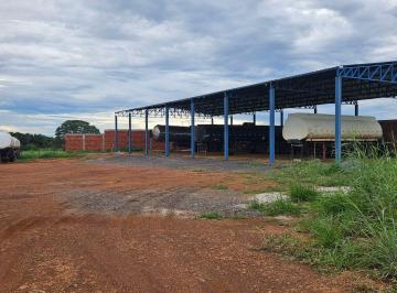 Rural de 1 quarto, Gama · DF 290 chacara com 20mil mts