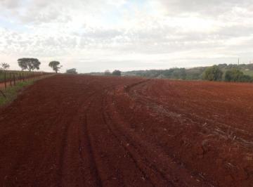 Rural , Artur Nogueira · Seu Sítio dos Sonhos: 20.000 m² a Minutos da Cidade!
