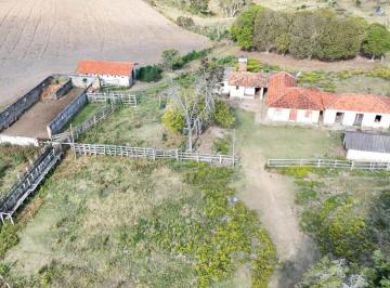 Foto 01 · *FAZENDA A VENDA EM SÃO MIGUEL ARCANJO - SP*  ??   Dupla Aptidão: Pastagem e Agricultura   Área Tota