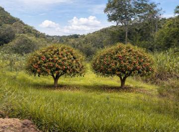 Terreno , Ibiúna · 500m² em Ibiúna com excelente localização e fácil acesso