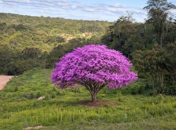 Terreno , Ibiúna · Terreno em Ibiúna com 500m² pronto para seu projeto sair do papel