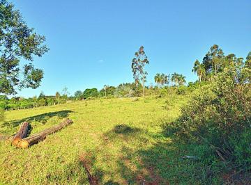 Terreno · 48200m² · Área de Terra em Novo Hamburgo - 48.200m²  de área