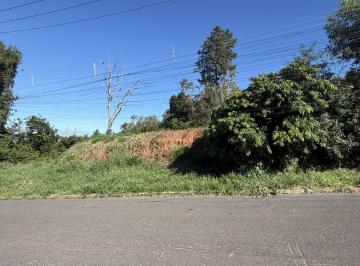 Terreno · 
                                Terrenos
                            