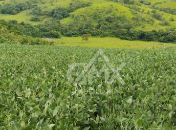 061036f20e5159683b7247b7403b3abf9c42e502 · Sítio à venda, 3,7 alqueires por R$ 880.000 - Rural - Uraí/Paraná