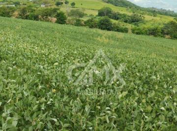 48f9fec1e53e78b571b7b8d28bf40b6fa51a342e · Sítio à venda, 3,7 alqueires por R$ 880.000 - Rural - Uraí/Paraná