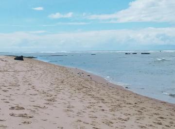 Lote à venda no ROSA DE SHARON OLHOS D'ÁGUA, PRAIA DO FORTE, Mata de São João, BA · Lote à venda no ROSA DE SHARON OLHOS D'ÁGUA, PRAIA DO FORTE, Mata de São João, BA