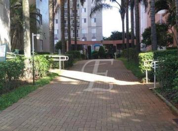 988d21e1c5f85feb48e074ac009ca7e0cf0a25bf · Apartamento com 3 dormitórios à venda, 60 m² por R$ 450.000,00 - Cambuci - São Paulo/SP