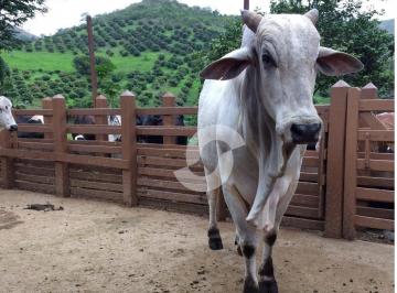 Rural · 480000m² · 2 Quartos · Fazenda em , Carmo/RJ de 0m² 2 quartos à venda por R$ 2.350.000,00