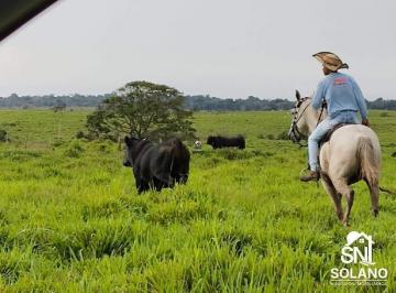 Rural · 4646m² · 3 Quartos · BELÍSSIMA FAZENDA NO NORTE DO PARA