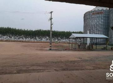 Rural · 49937m² · 3 Quartos · Vende esta propriedade de porteira fechada em nova Ubiratan - MT