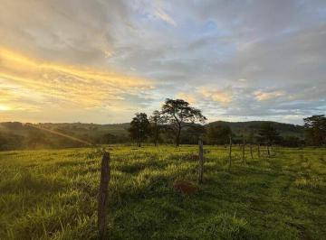 Rural · 12m² · 3 Quartos · 10 Vagas · Chácara à venda, 3 quartos, 1 suíte, 10 vagas, Centro - Anicuns/GO