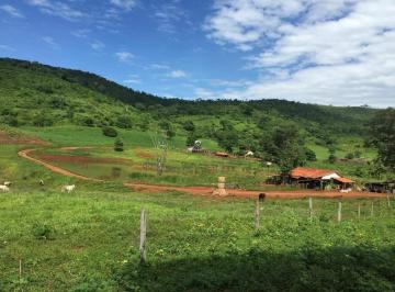 Rural · 920m² · 3 Quartos · 10 Vagas · Fazenda à venda, 3 quartos, 10 vagas, Centro - Barro Alto/GO