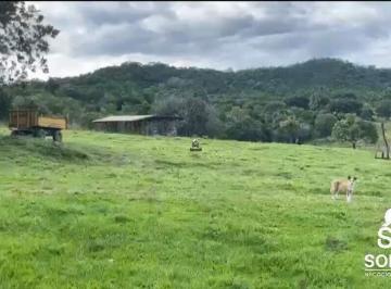 Rural · 98m² · 3 Quartos · Fazenda 97,63 hectares no município de Faina-GO.