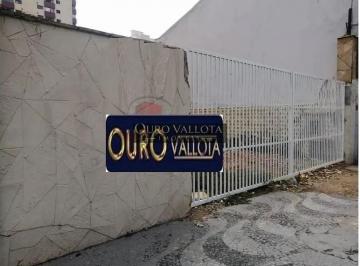 3hgrgwticsm1775685254477.jpg · Terreno para alugar, 500 m² por R$ 15.000,00/mês - Vila Bertioga - São Paulo/SP