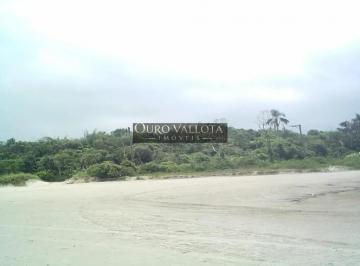 1fkuw7oaexwk1775686169286.jpg · Área em Bertioga - AR 221001V