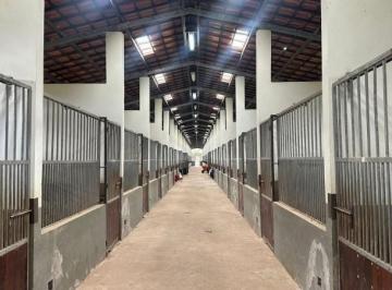 202603300616543679.jpg · Haras em Caçapava